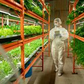 Understand the Impact of Disruptive Technologies on the Sustainability Biology Diagrams